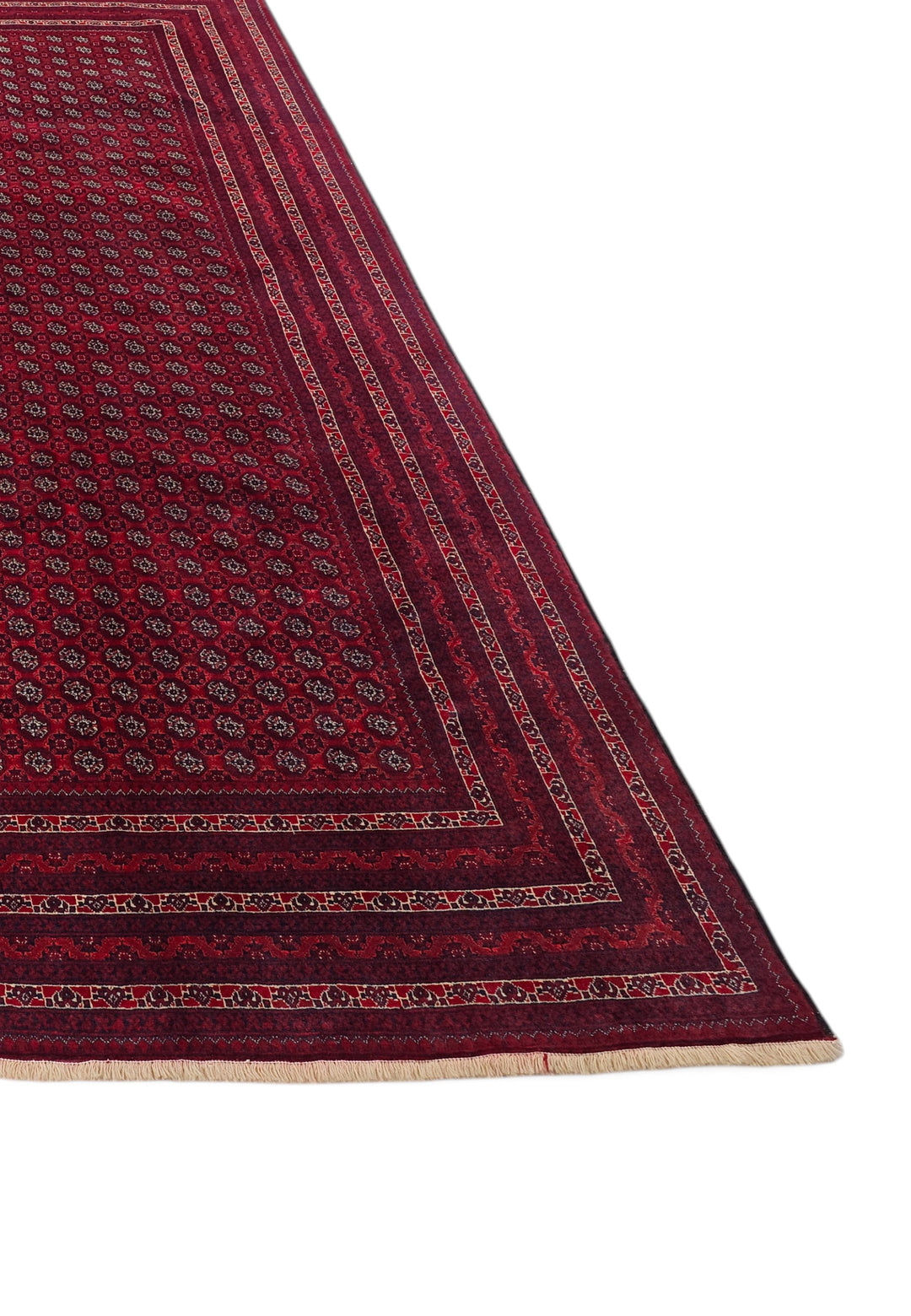 Wine Red Khoja Roshnai, Hand-Knotted Wool Rug