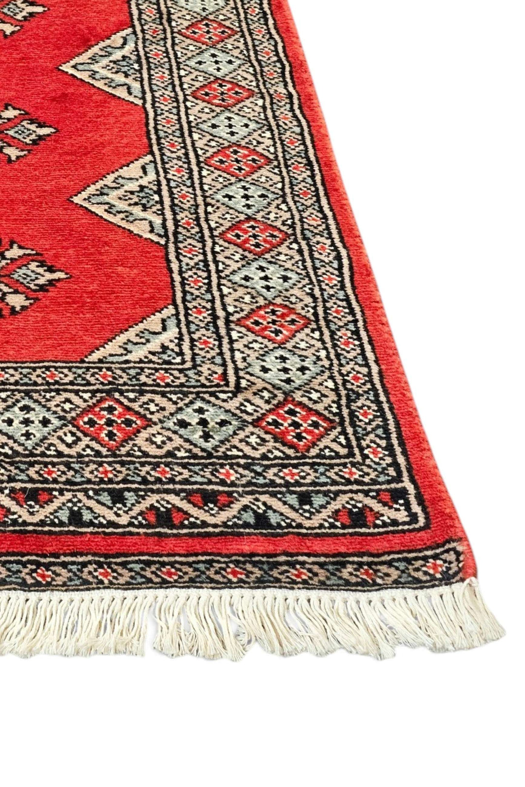 Warm Red Jaldar