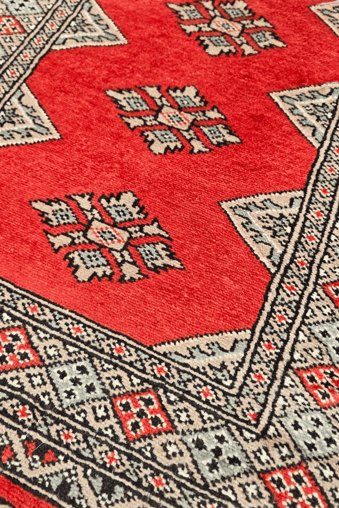 Warm Red Jaldar