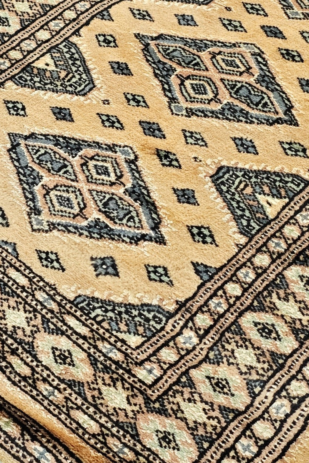 Sand Cream Dotted Jaldar