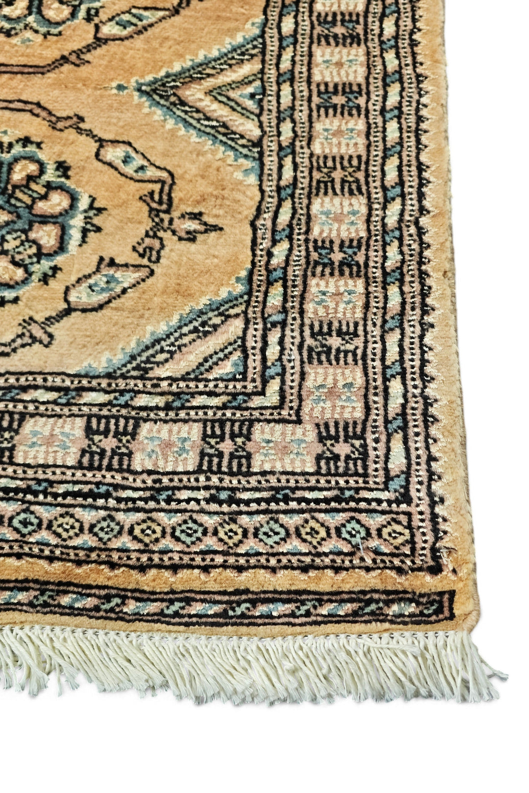 Camel Rosette Jaldar