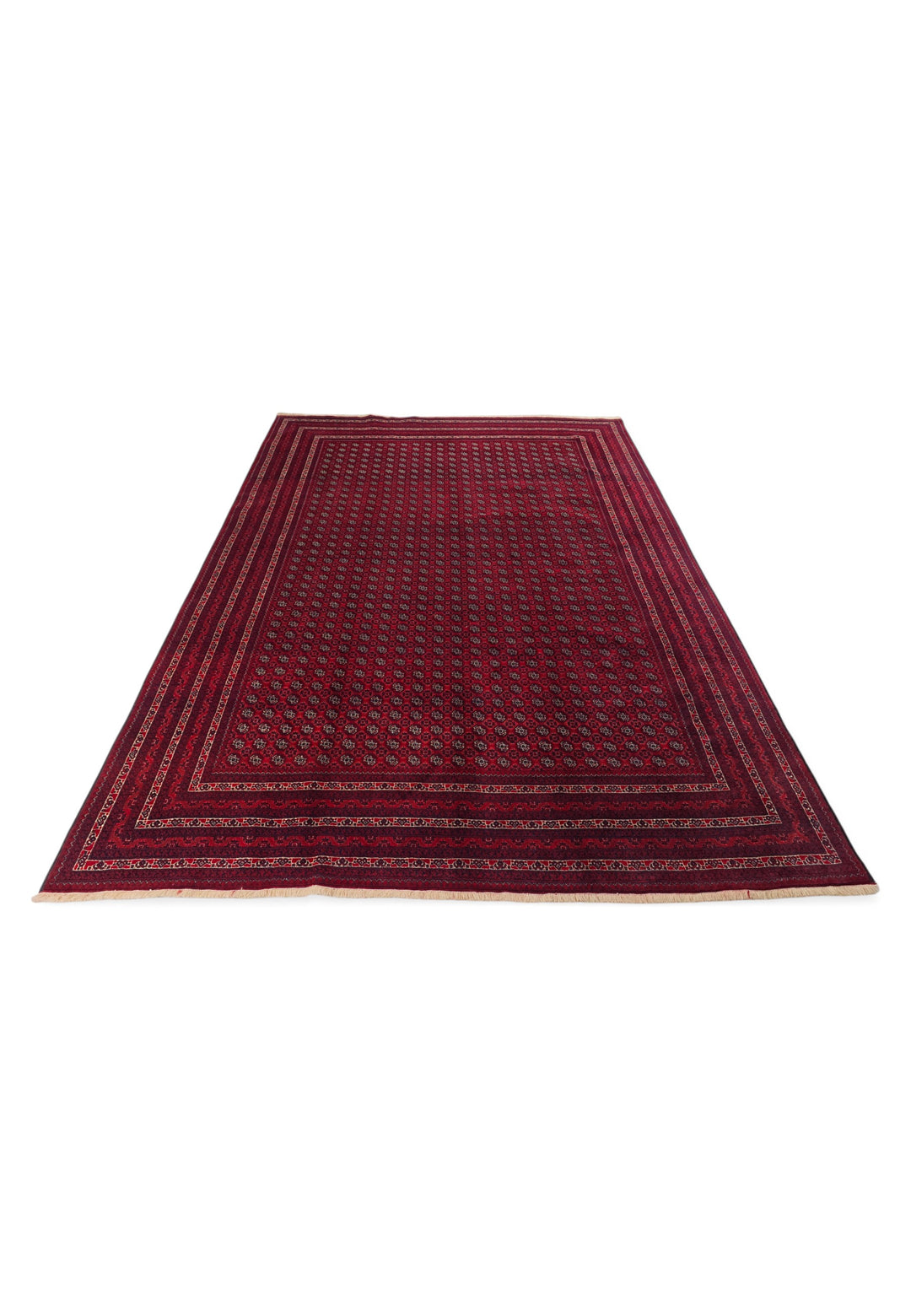 Wine Red Khoja Roshnai, Hand-Knotted Wool Rug