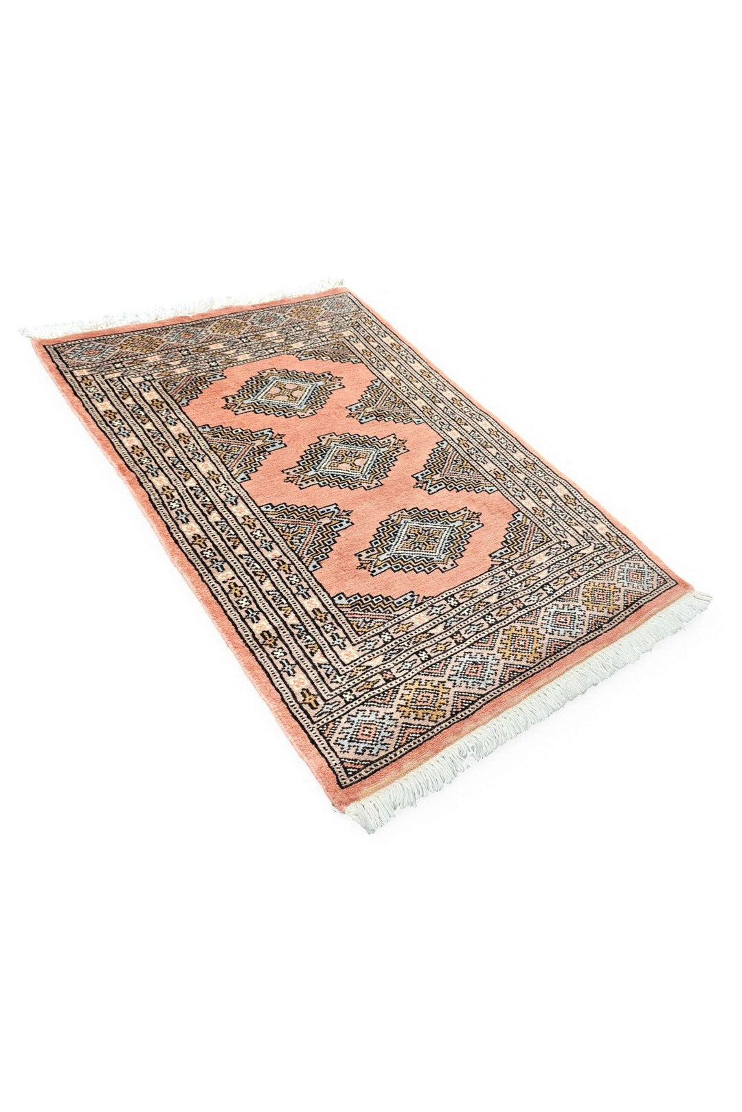 Apricot Jaldar