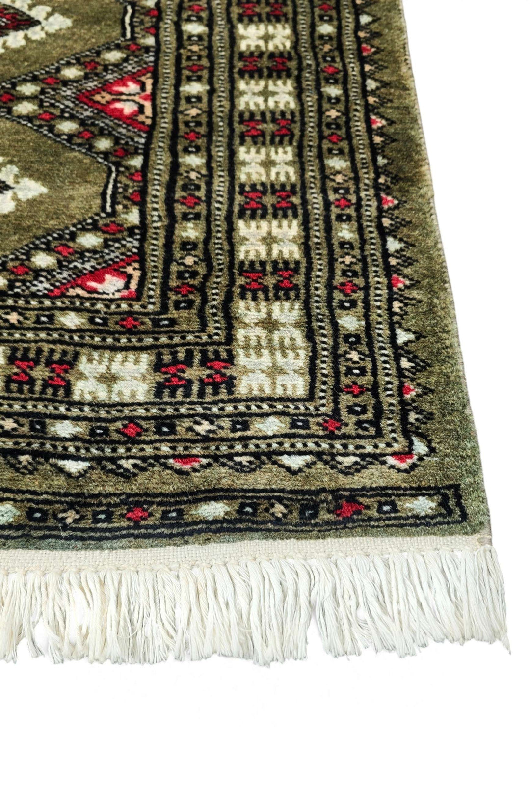 Olive Sage Jaldar
