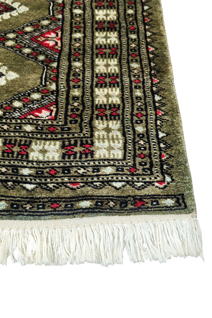 Olive Sage Jaldar