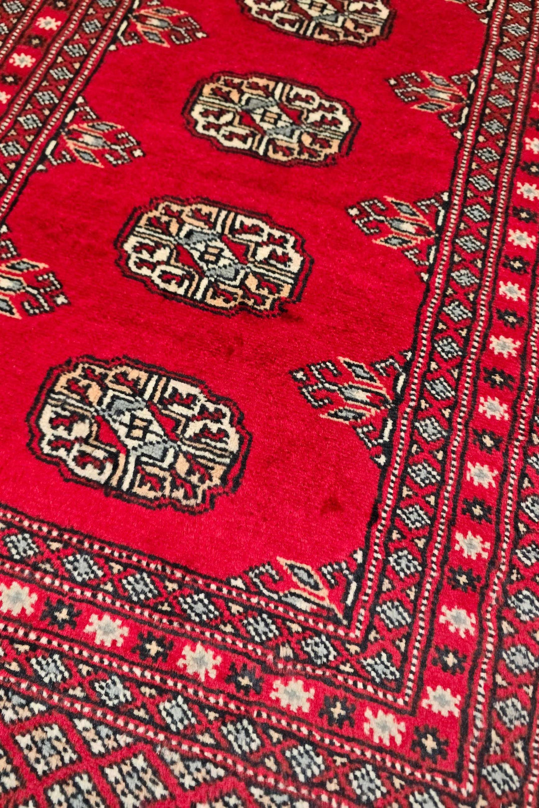 Vermilion Gul Bokhara