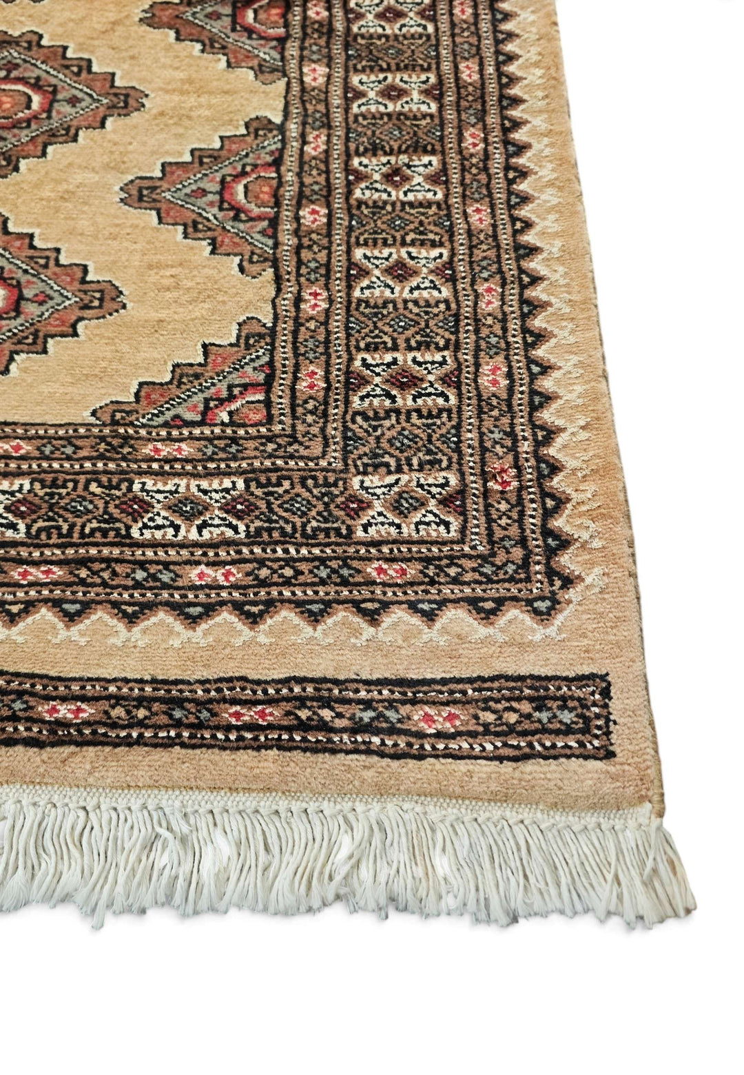 Camel Five Gul Jaldar