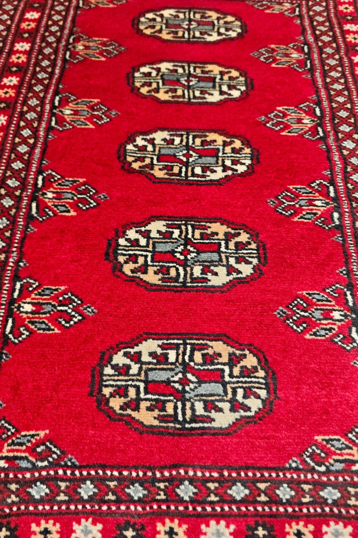 Vermilion Bokhara