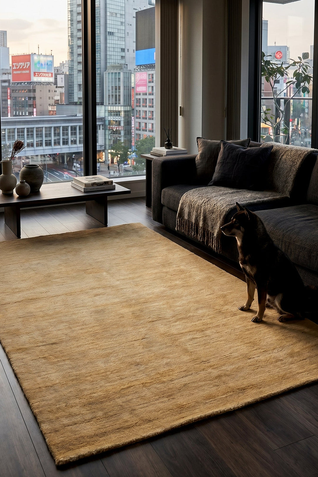 Natural Gabbeh, Hand-Knotted Afghan Wool Rug