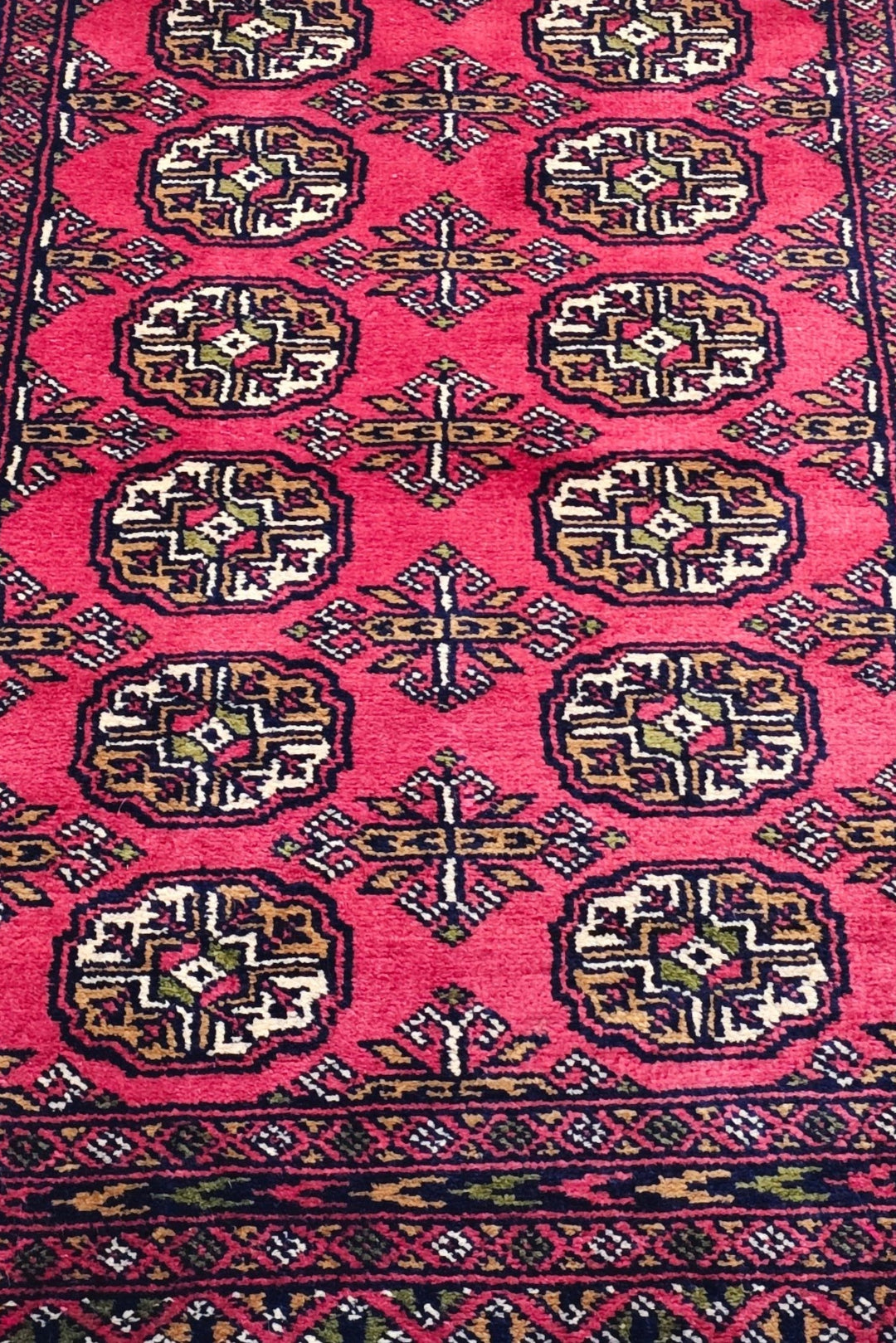Raspberry Gül Bokhara