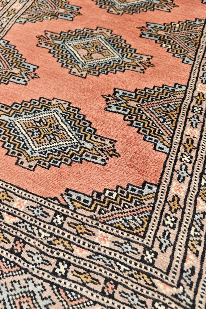 Apricot Jaldar