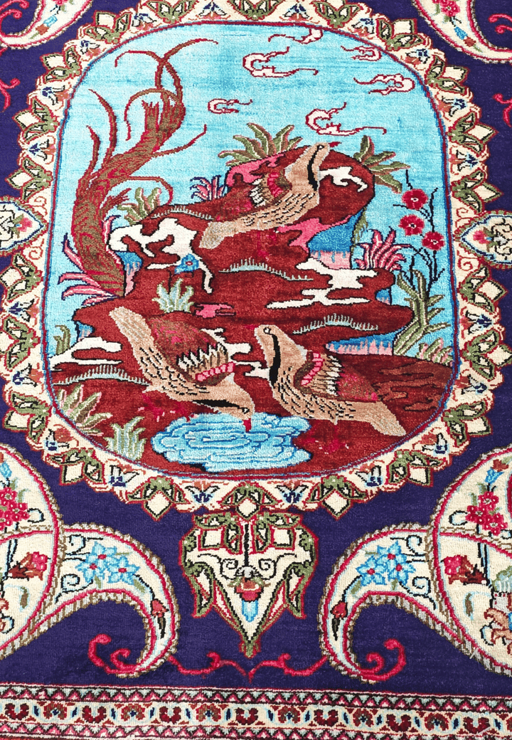 Violet Partridge Qum