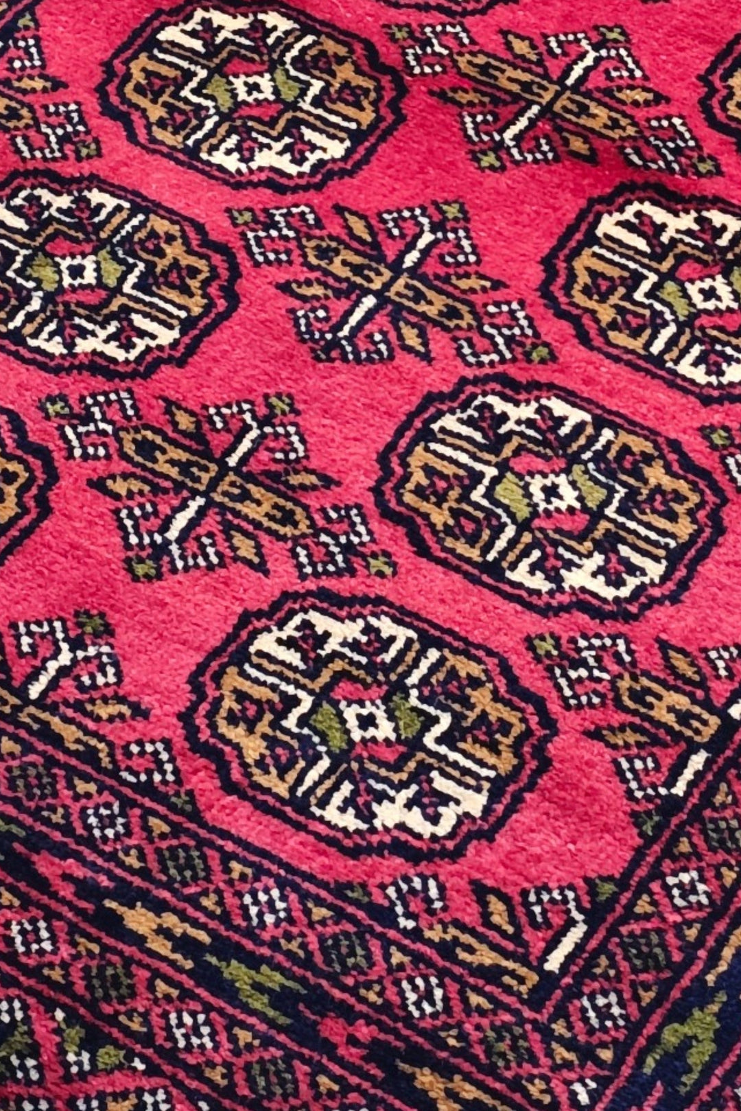 Raspberry Gül Bokhara