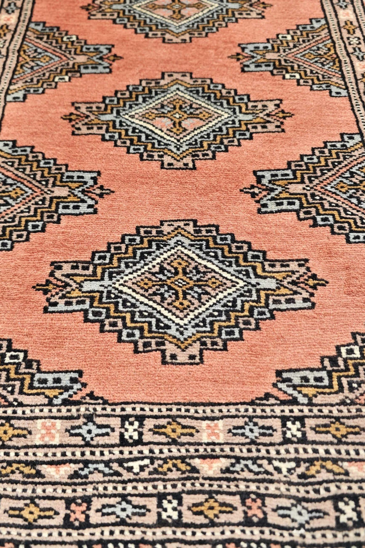 Apricot Jaldar