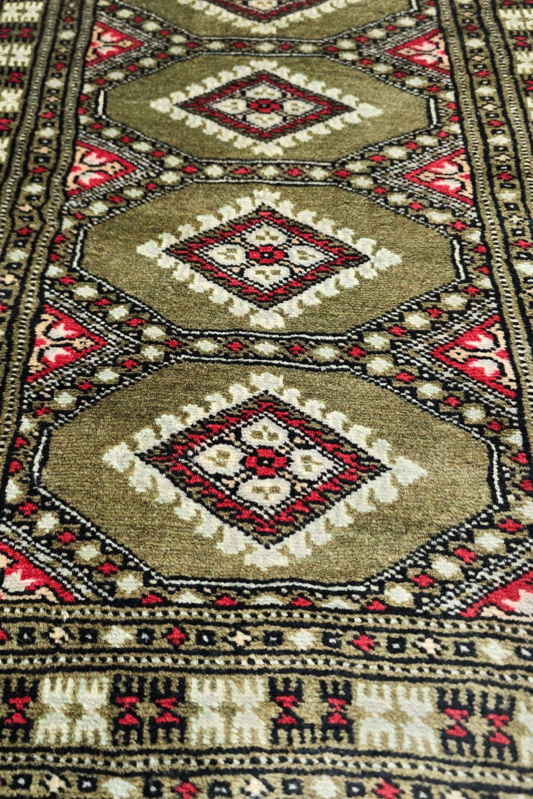Olive Sage Jaldar