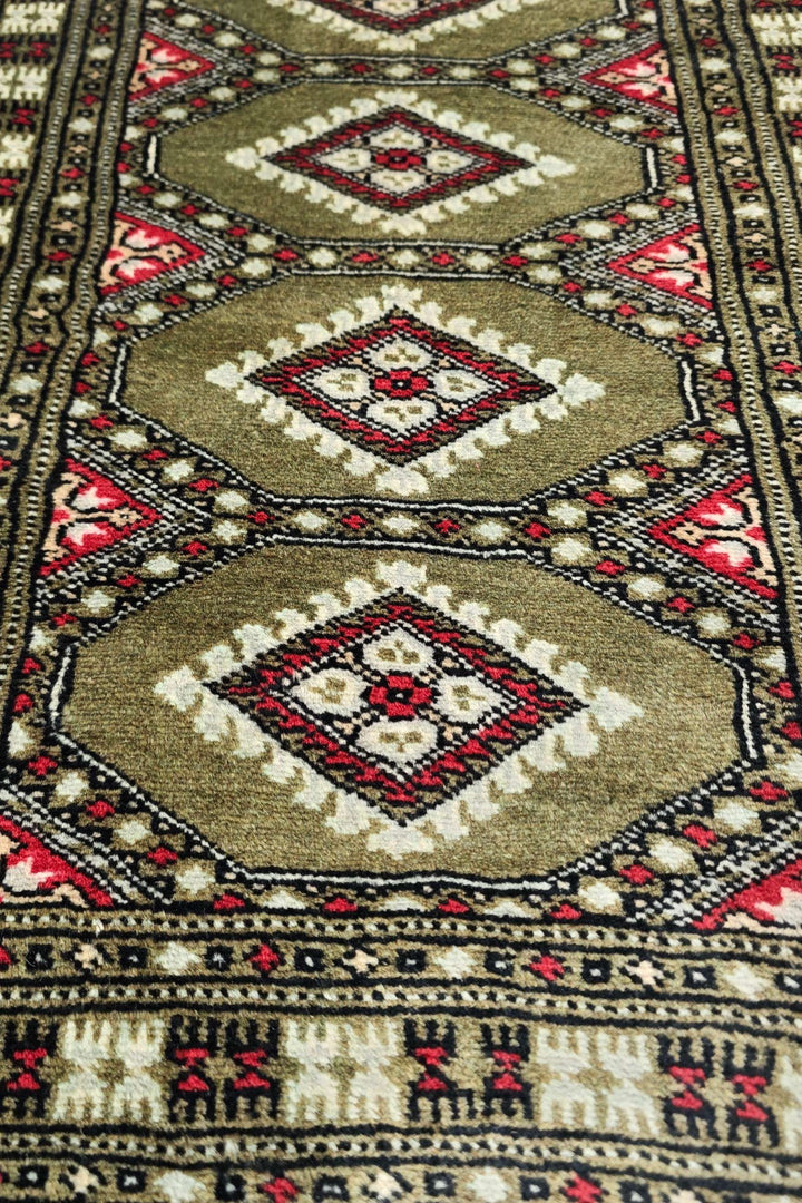 Olive Sage Jaldar
