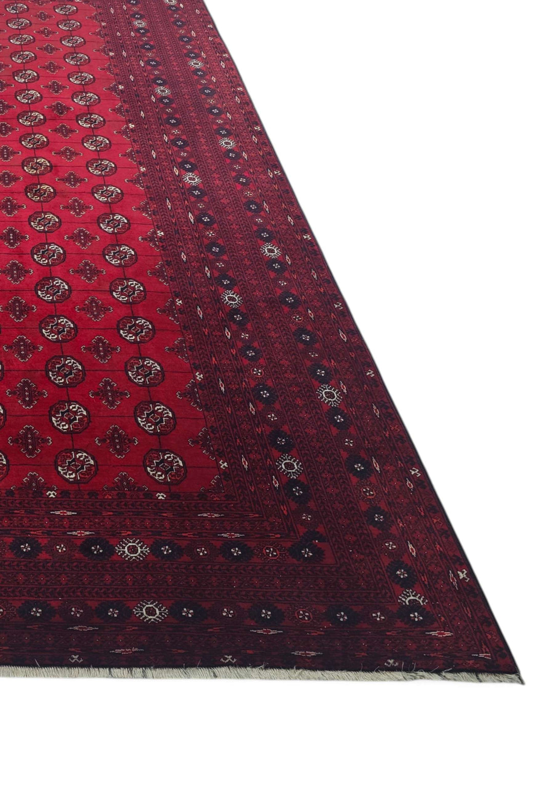 Fringe of wine red Turkmen gül Afghan Sherwan rug