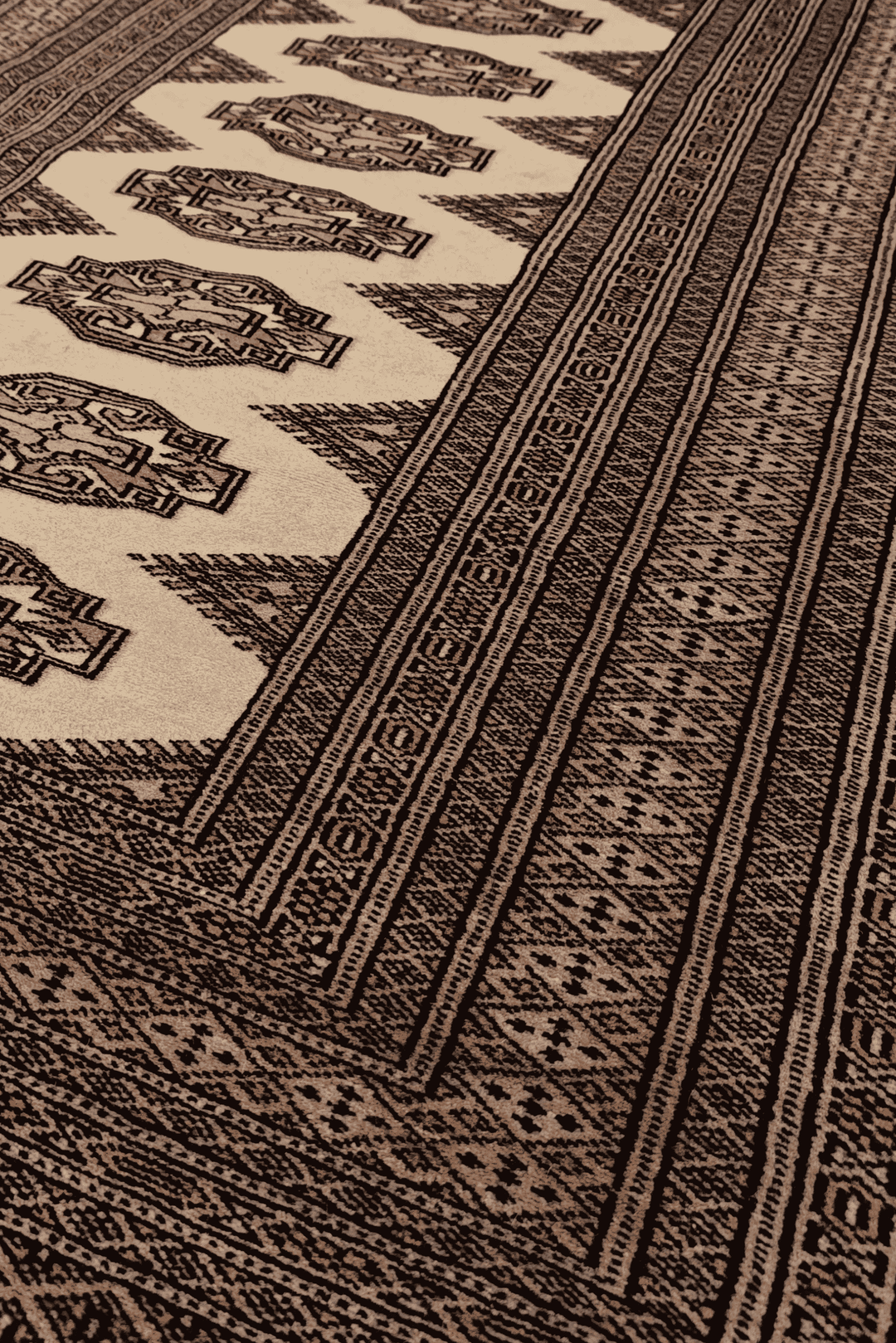 Turkmen Yamoud motifs in beige and brown on wool rug