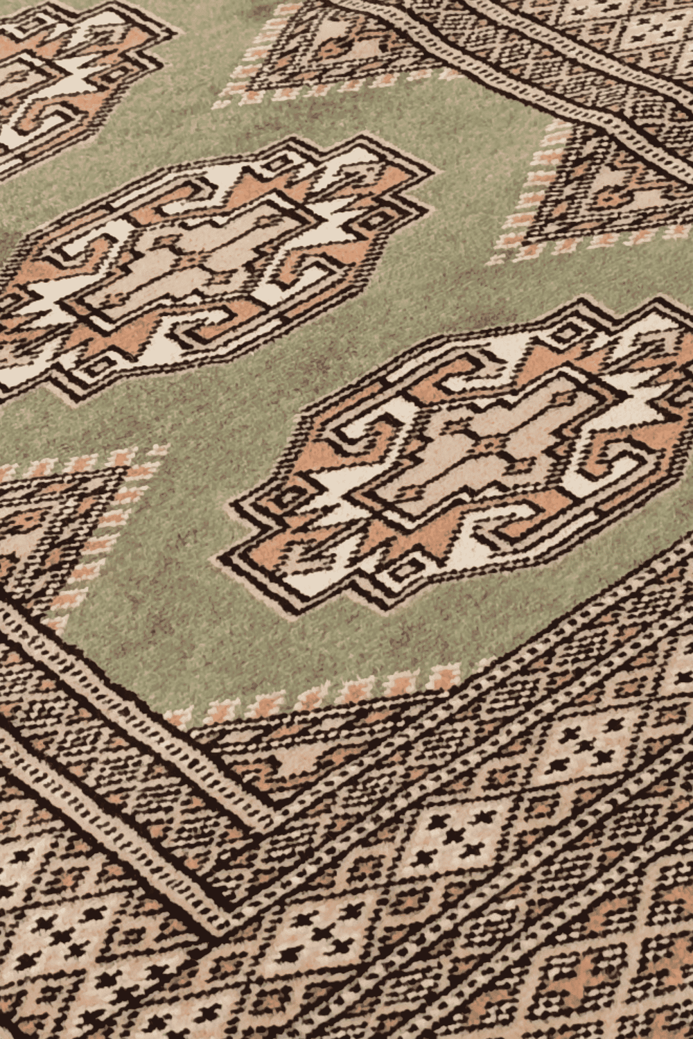 Turkmen Yamoud motifs in olive green and beige on wool rug