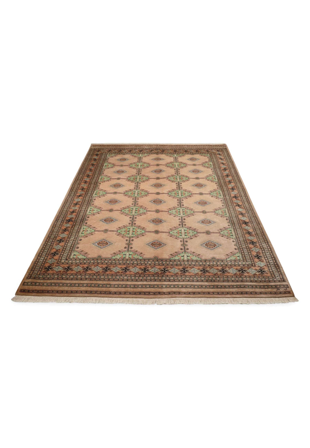 Border detail of blush sage hand-knotted Pakistani rug