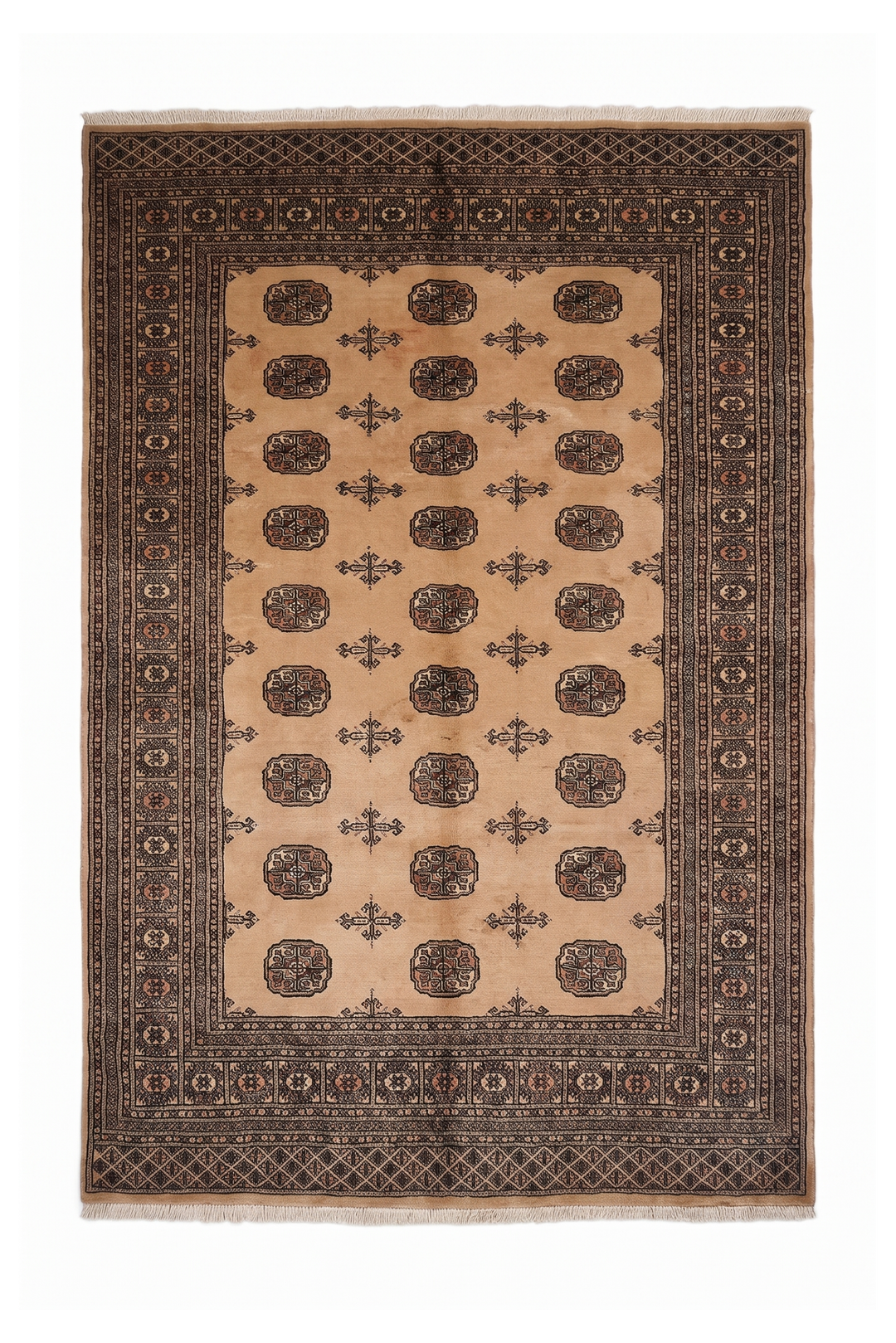 Camel and Mahogany Turkmen Gül Bokhara, Hand-Knotted Wool Rug