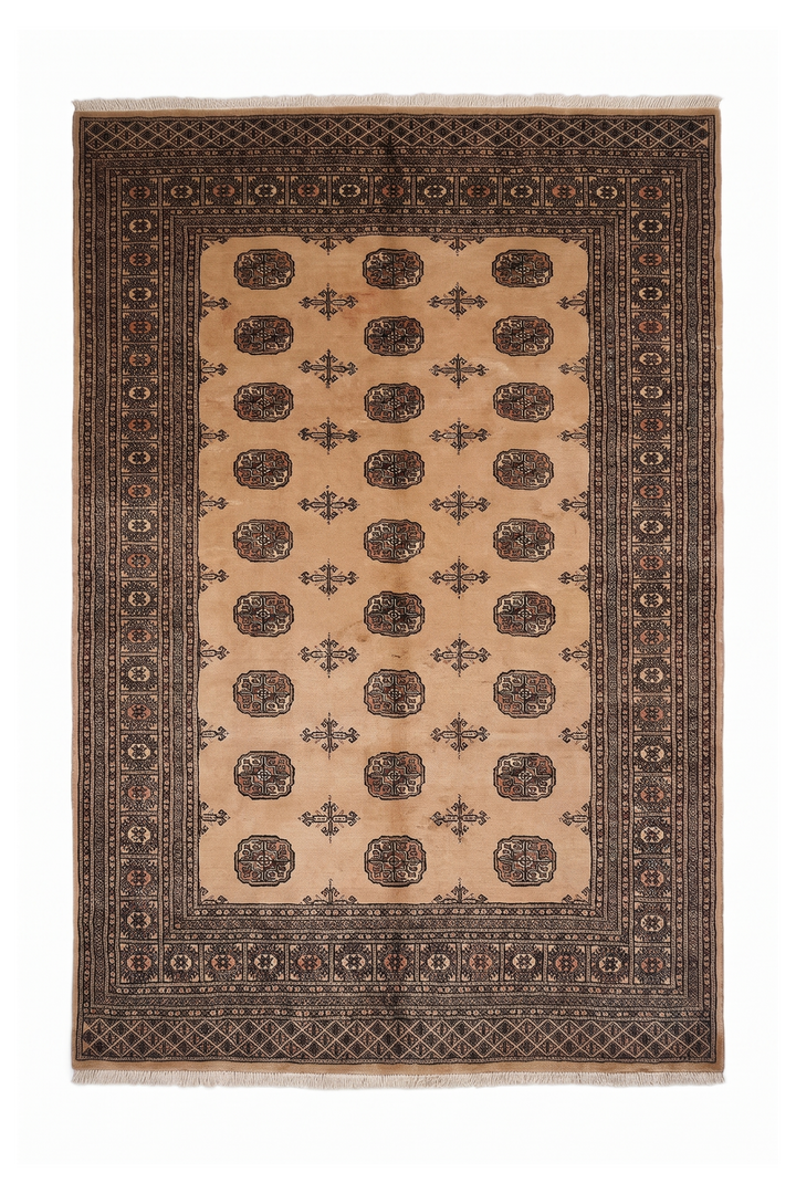 Camel and Mahogany Turkmen Gül Bokhara, Hand-Knotted Wool Rug