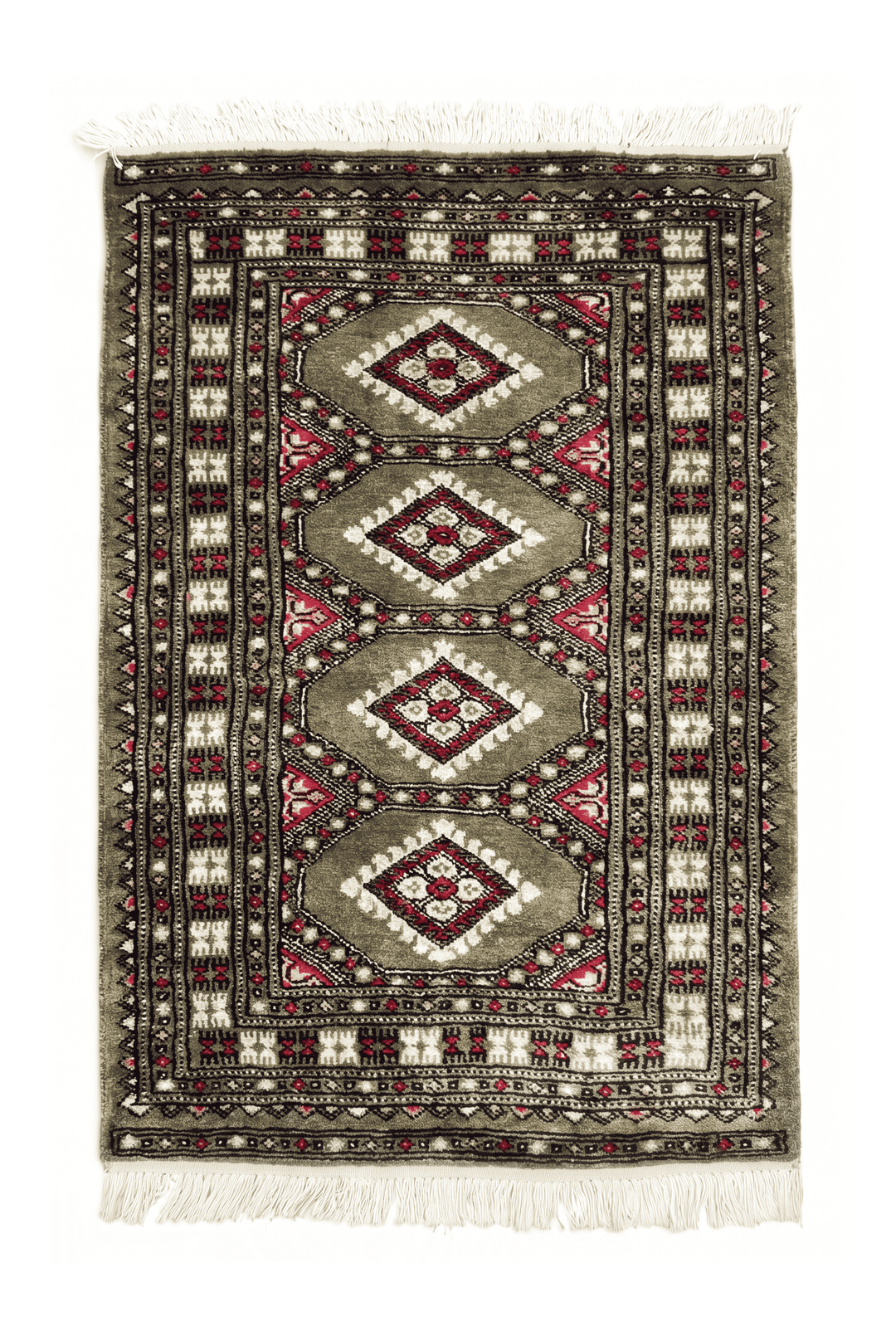 Olive Sage Jaldar