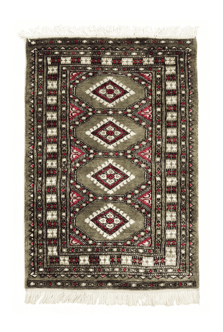 Olive Sage Jaldar