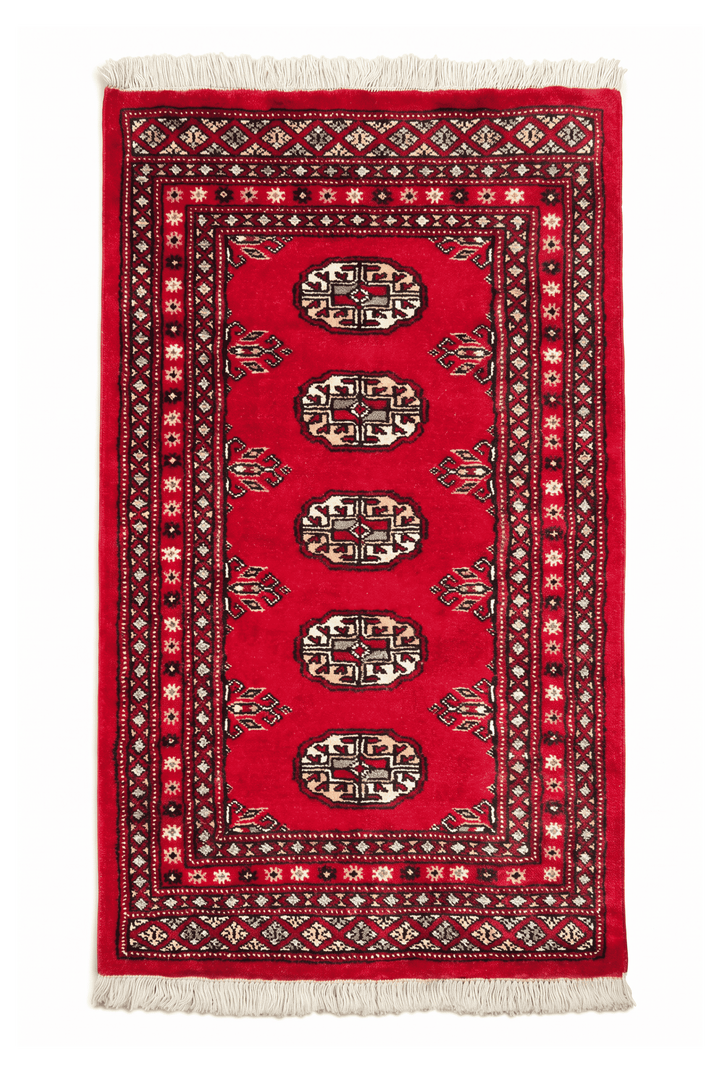 Vermilion Bokhara