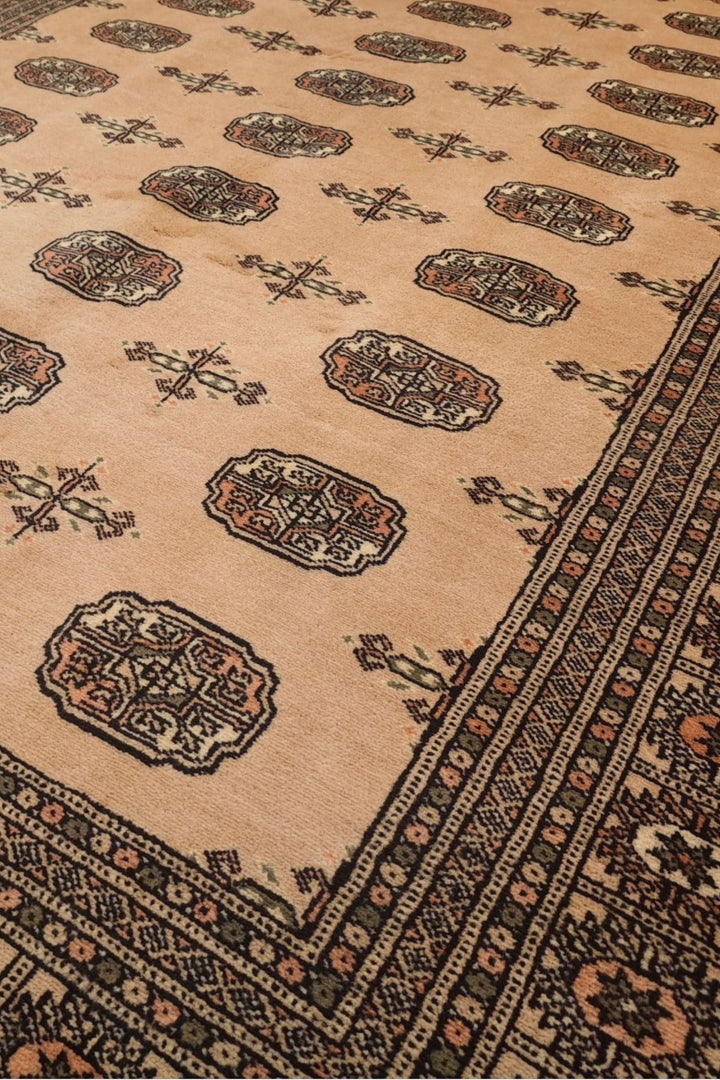 Turkmen gül motifs in camel and mahogany on Bokhara wool rug