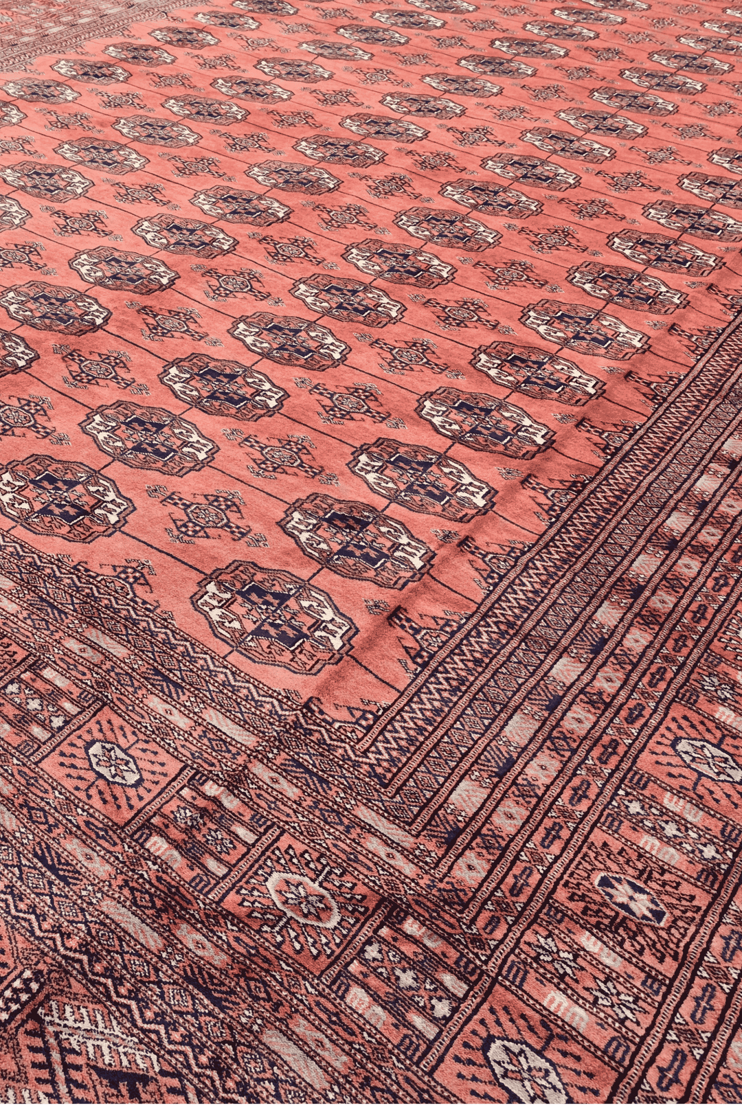 Turkmen gül motifs on rose Afghan Sherwan wool rug
