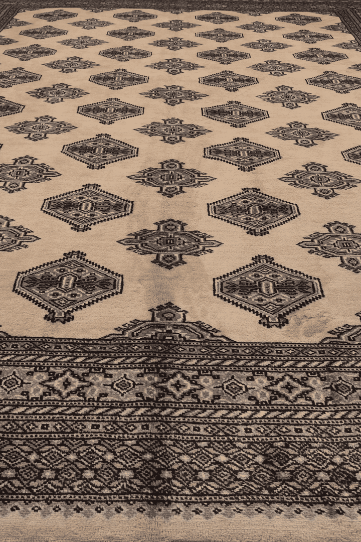 One-of-a-kind cream and espresso Pakistani Bokhara rug, 199×254cm