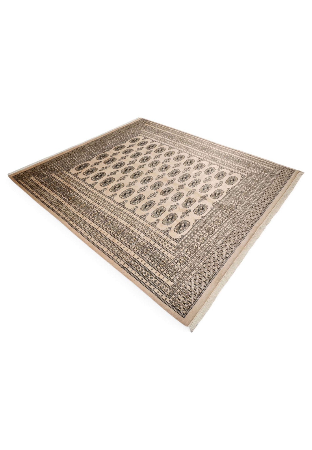 Cream and walnut Turkmen gül rug for a living room, about 3 tatami