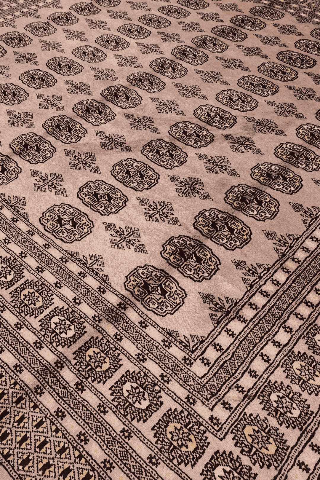 Border detail of dusty taupe hand-knotted square Bokhara rug