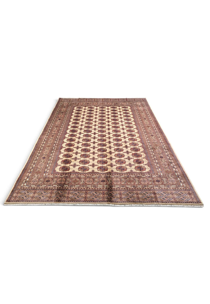 Border detail of ivory and chestnut hand-knotted Sherwan rug