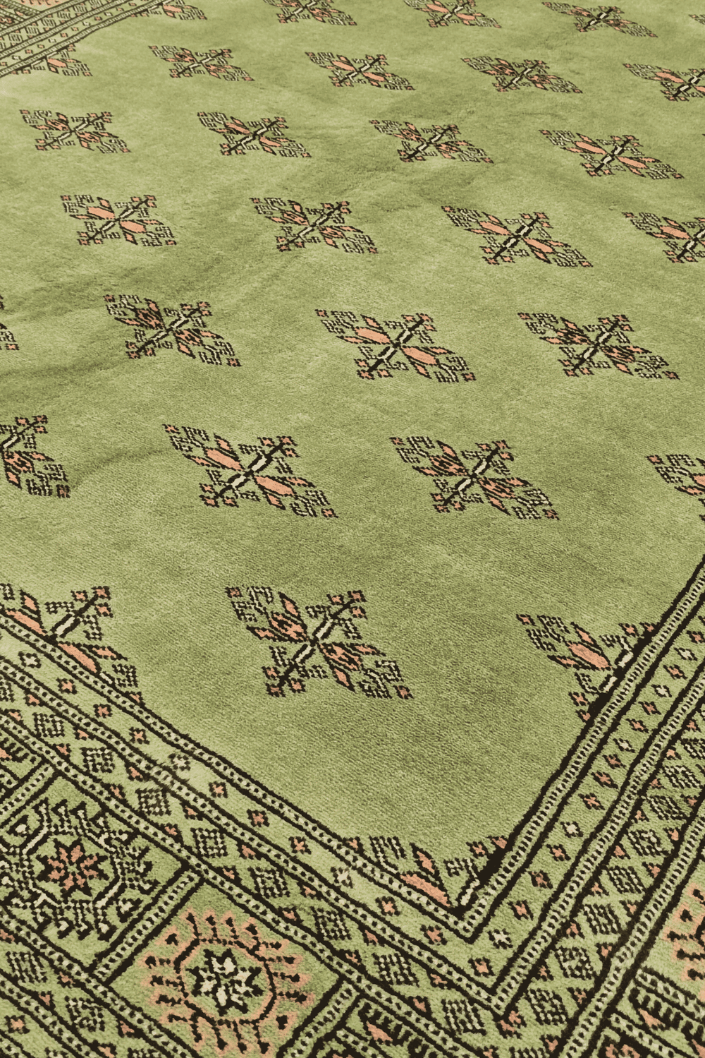 Open field detail on olive green Pakistani Bokhara wool rug