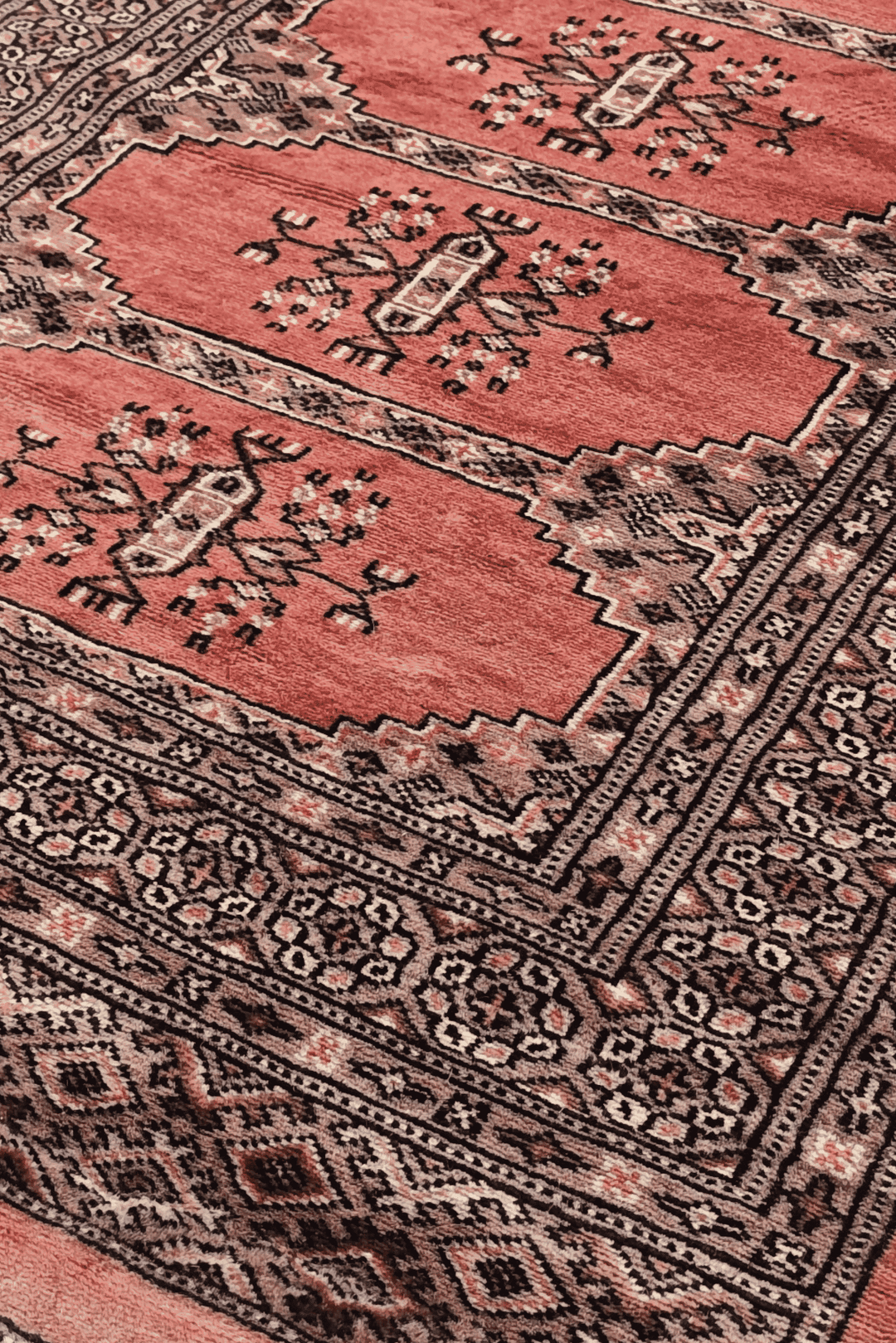 Turkmen gül motifs in salmon and ivory on Bokhara runner