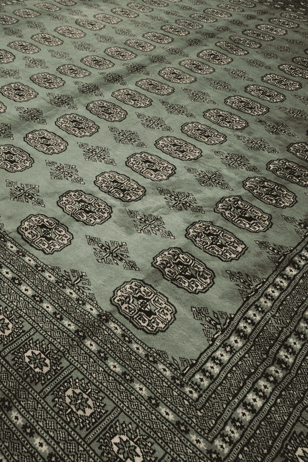 Border detail of sage green hand-knotted square Bokhara rug
