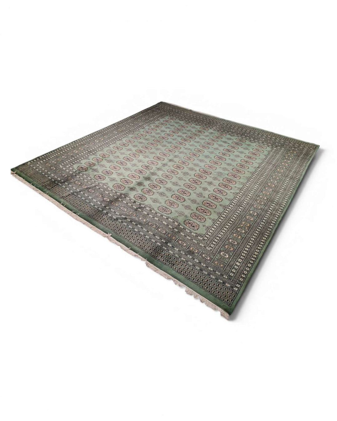 True square hand-knotted sage green Bokhara rug, 271×271cm