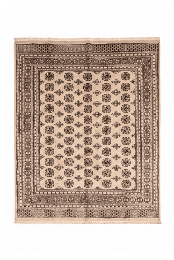 Sand beige Turkmen gül Bokhara square rug, 245×257cm, about 4.5 tatami