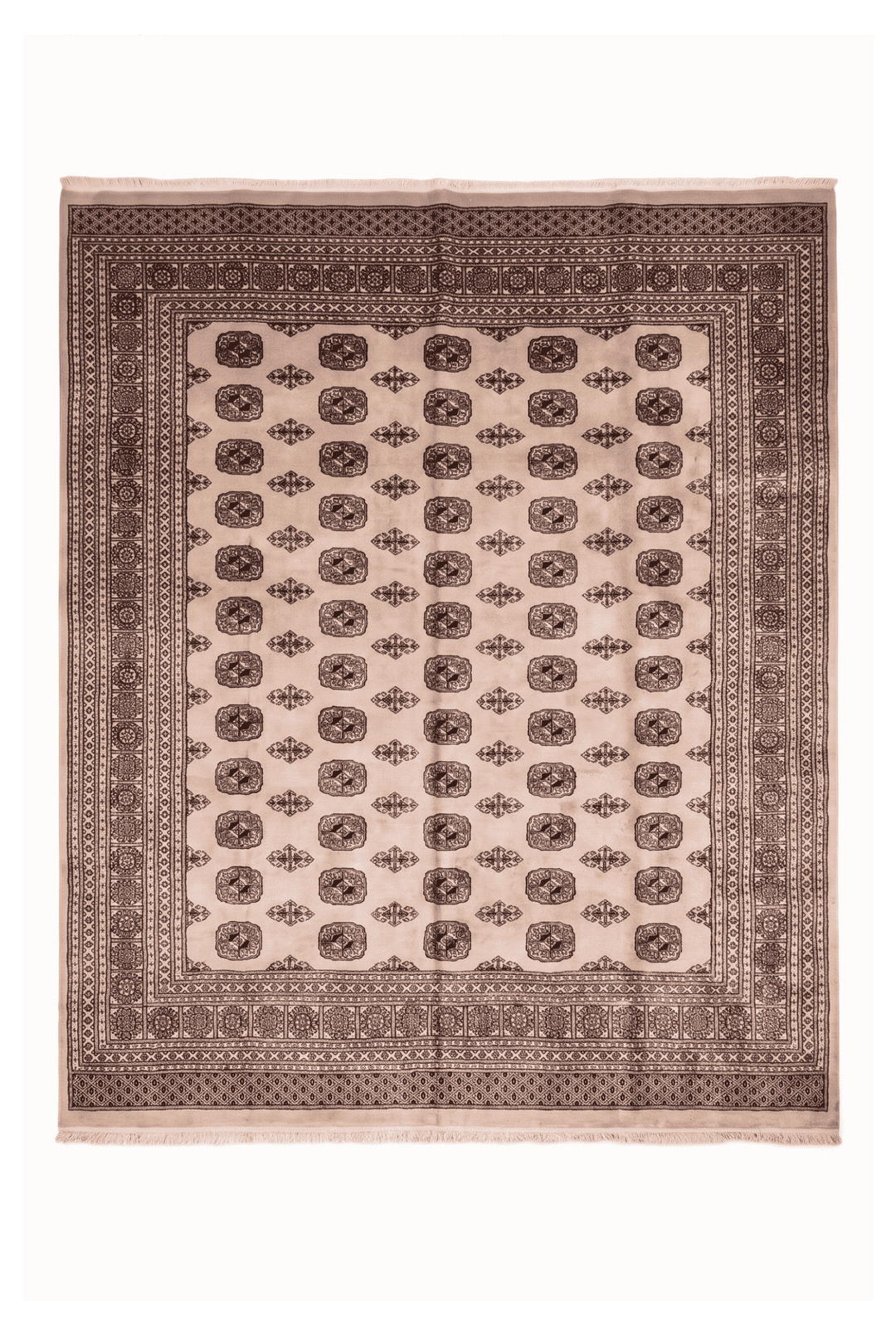 Warm beige Turkmen gül Bokhara rug, 248×263cm, about 4.5 tatami