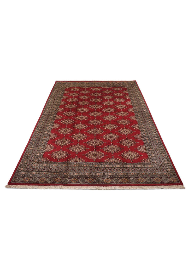 Border detail of brick red Jaldar hand-knotted Pakistani rug