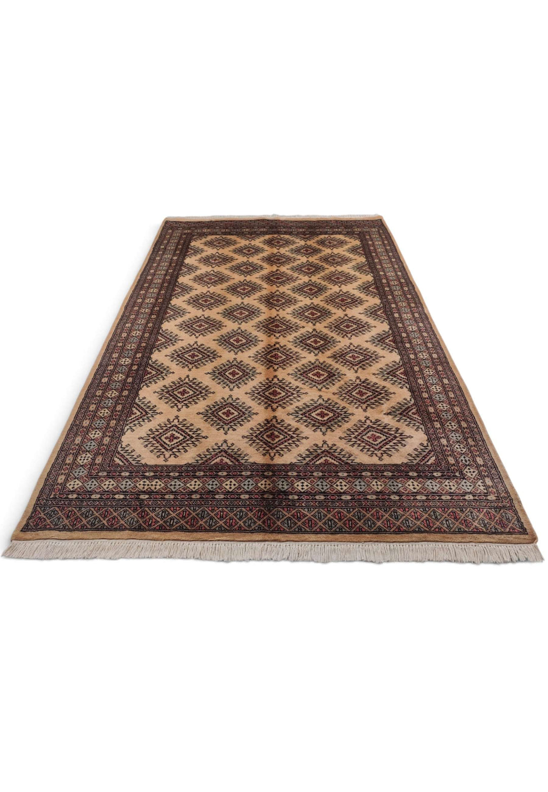 Border detail of cream Jaldar hand-knotted Pakistani rug