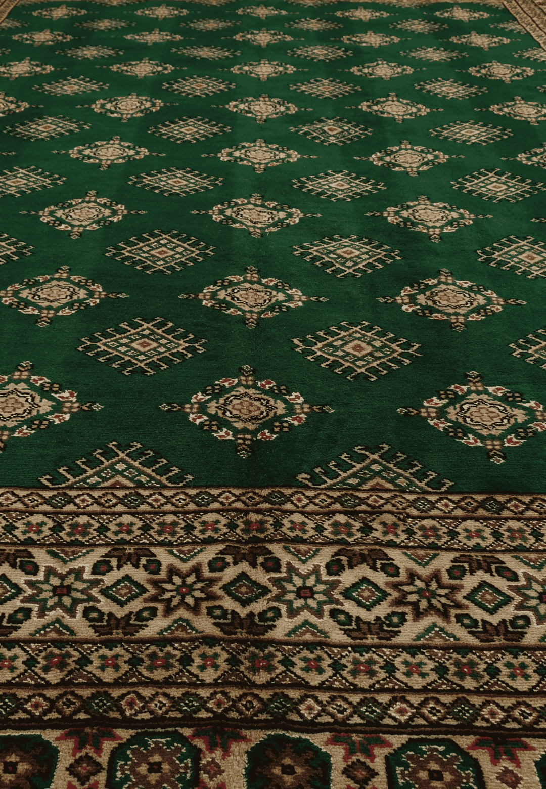 Border detail of pine green Jaldar hand-knotted Pakistani rug