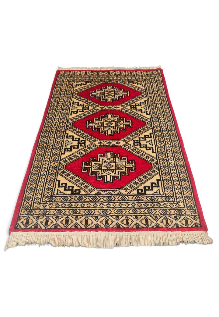 Border detail of red Jaldar hand-knotted Pakistani rug