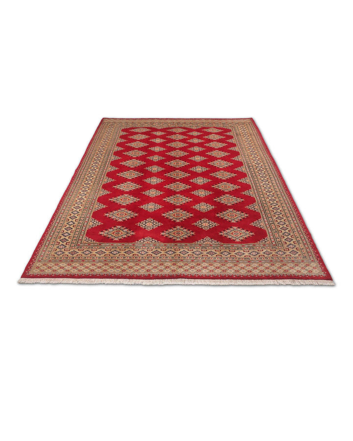 Border detail of crimson Jaldar hand-knotted Pakistani rug