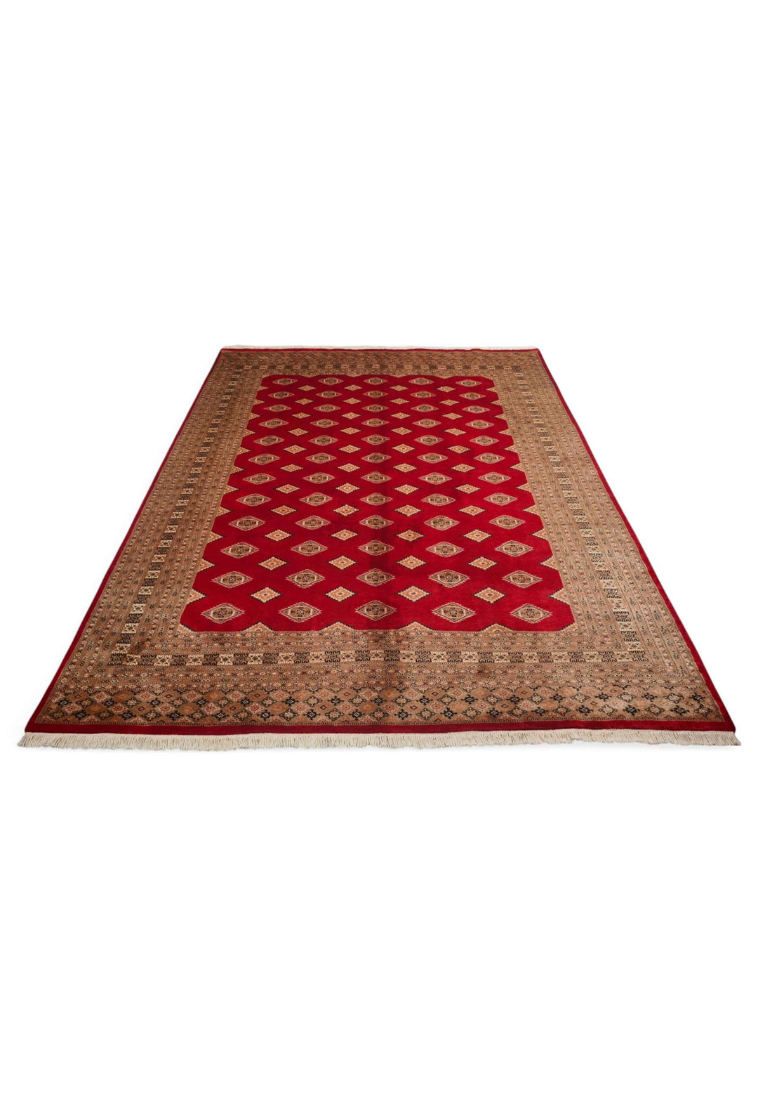 Border detail of madder red Jaldar hand-knotted Pakistani rug