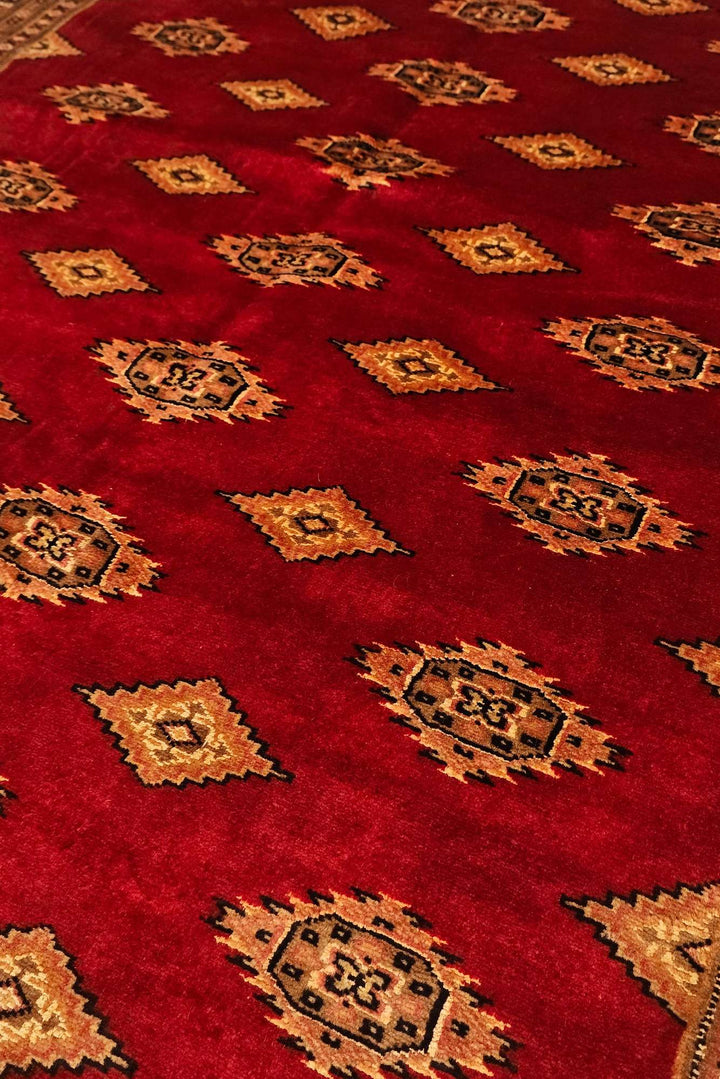 Border detail of red gold Jaldar hand-knotted Pakistani rug