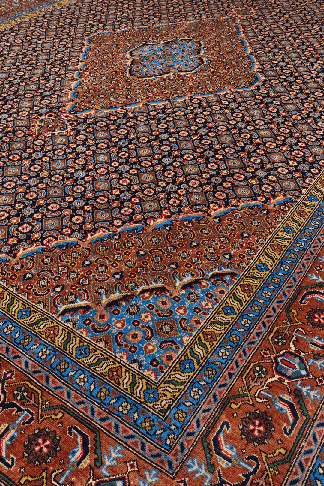 Border detail of navy mahi Ardabil hand-knotted rug