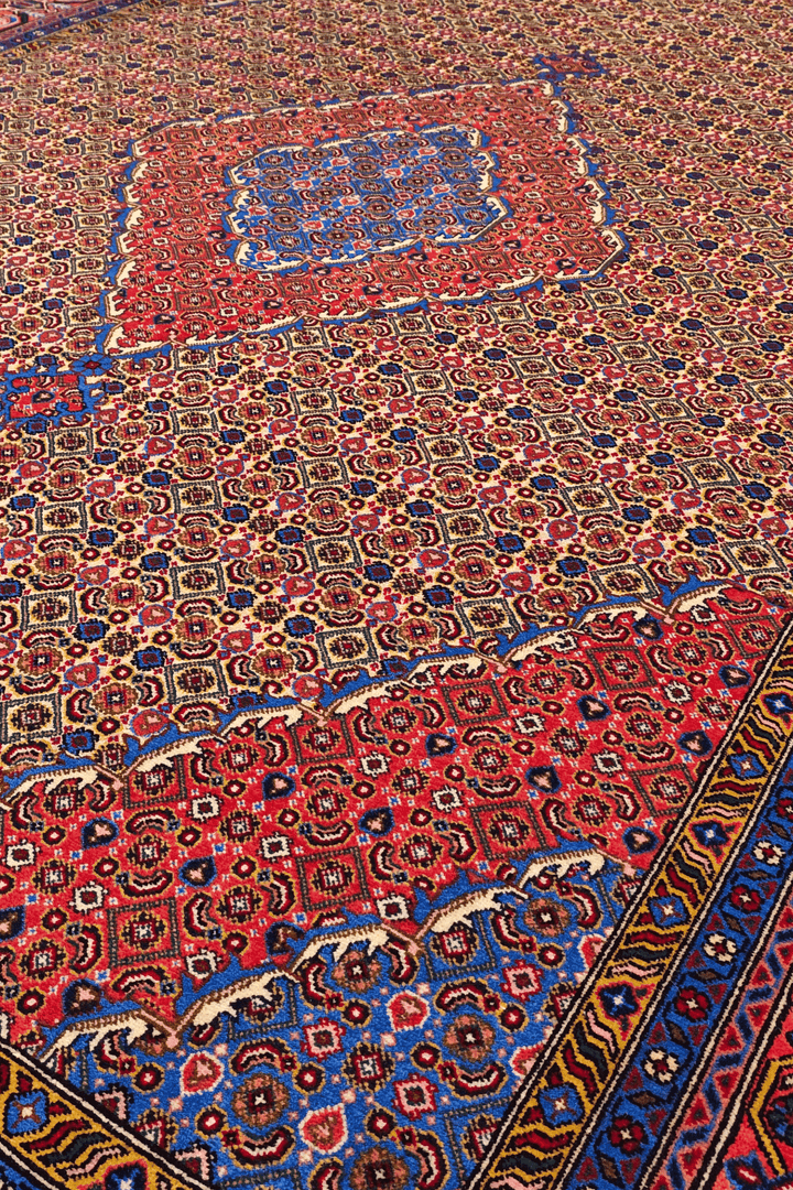 Border detail of camel mahi Ardabil hand-knotted rug